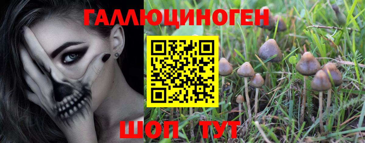 Псилоцибиновые грибы прущие грибы  Псилоцибиновые грибы Psilocybe  Вход с VPN  Десногорск 